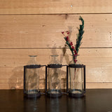3 Bottle Adjustable Vases - Clear