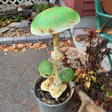 Rusty Green Metal Mushroom